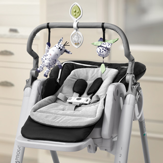 Polly Progress or Polly2Start Highchair Toy Bar